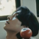 공유다 이미지