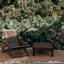 제주달로와 이미지