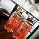 원커피 won coffee 이미지