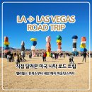 (주)해인고속관광 | LA에서 라스베이거스까지 직접 운전 후기, 세븐 매직 마운틴스·모하비 사막 드라이브 코스