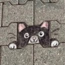 경기대학교 교육대학원 | [후기]경기대학교(최합) ·전북대학교(최합) 교육대학원 면접