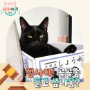 골골송