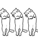 바르다짐 이미지