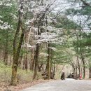 다리안 황토길 이미지