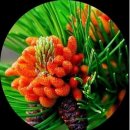 찬구농장 이미지