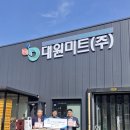 대원미트