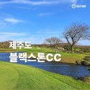 블랙스톤제주CC(대중형 18홀) | 품격 있는 골퍼들의 선택, 제주 블랙스톤 골프장 매력 포인트 5가지