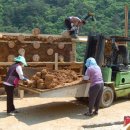 건강힐링하우스 이미지