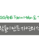 목사내아기타 이미지
