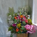 화타의손 | 대전 신점타로 잘보는곳 관저동 몽화타로&amp;울림 연애운 시험운 후기