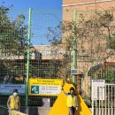 동호초 깃발우먼과 안전지킴우먼 ㅋ 이미지