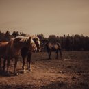 중2동 행정복지센터 이미지