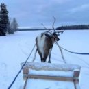 라플란드 이미지