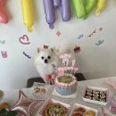 도요케이크 이미지