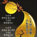 수지상사 이미지