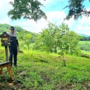 대촌축산 이미지