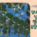 명신농장 이미지