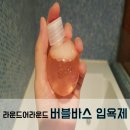 어라운드바스