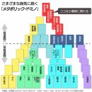 당질 피로의 그 뒤에는, 당뇨병, 심장병, 암...병의 연쇄 '메타볼릭 도미노'의 공포. 예방책은 고기와 치즈 듬뿍의 햄버거? 이미지