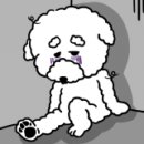 HC모터스 이미지