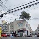 종합터미널 관광안내소 이미지