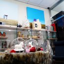 아리아펫 이미지