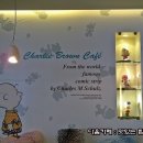 카페 자주 이미지