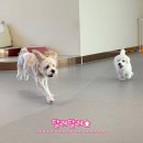 마인드몽 유치원 이미지