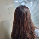 올랩