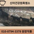 고창  건강원 이미지