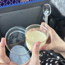 명가모텔 | [제주여행 1일차] 우무, 퍼스트렌트카, 길동무, 포슬, 성이시돌목장, 그라벨호텔, 치킨명가