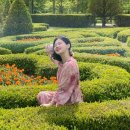 알리익스프레스 쉬인 SHEIN 추천 배송 옷 결제 할인 세일 반품 후기,핸드폰 에어팟 케이스