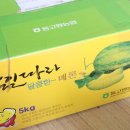 [대표카페 지후맘/성산벧엘농장] 달콤한 맛과 향이 일품인 노란메론