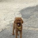 엘로우시티장성로컬푸드직매장 이미지