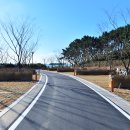 대왕암공원 캠핑장 이미지