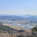 양산면사무소 이미지