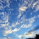 일동농장 이미지