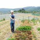 경주농장 이미지