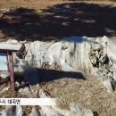 송대로R 이미지