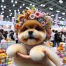 멍이맘&대디 이미지