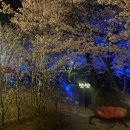 카페이니지오 - 100947 | 카페이니지오