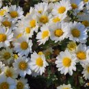 지산농원 이미지