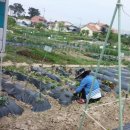 학전농장 이미지