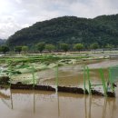 갑산축산 이미지