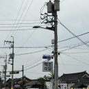 수원-0305 | 경주 밀면집 <황남밀면> ,신메뉴 고소한 들기름이 들어간 ⭐황남 들깨밀면 맛 안보면 후회해용😚