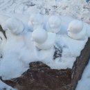 시연유치원 앞 이미지