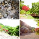 여주 카라반 체험장 이미지