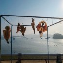 섬마을민박 이미지