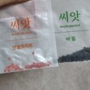 신천동물병원 | 오늘도 예쁘다 🩷 내일은 더 예쁠 나의 일상
