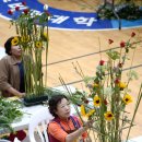 경기꽃화훼 이미지